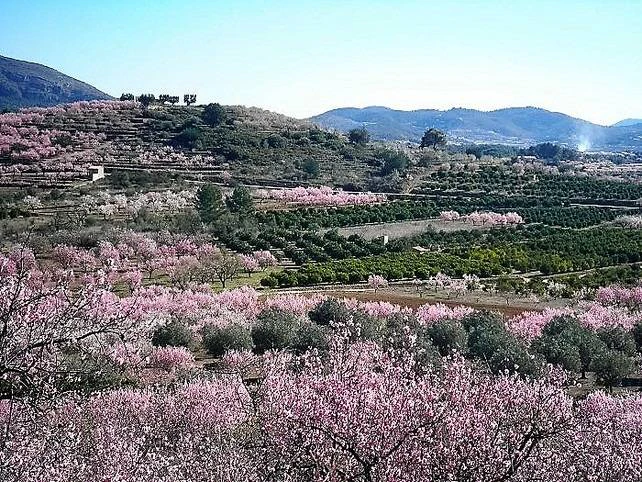 Villa Paula. Villa de lujo con fantásticas vistas en venta en Alcalali