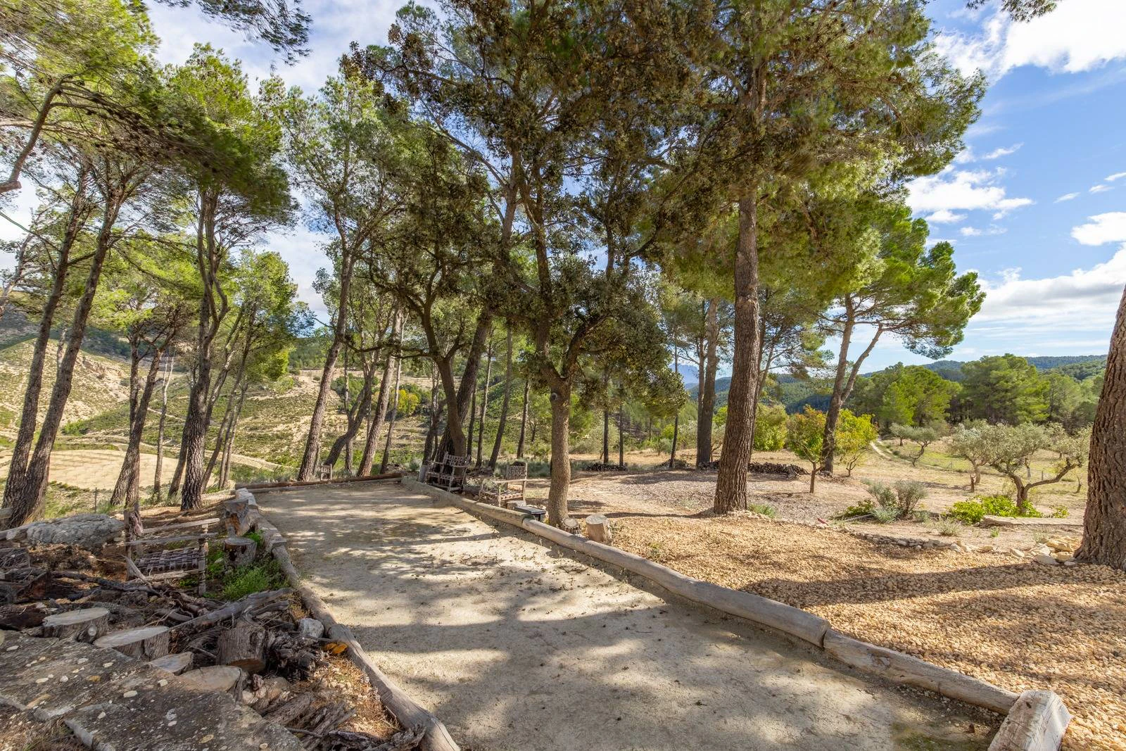 NC6701 - Finca La Paz. Prachtige finca op 18 hectare te koop in Torremanzanas.