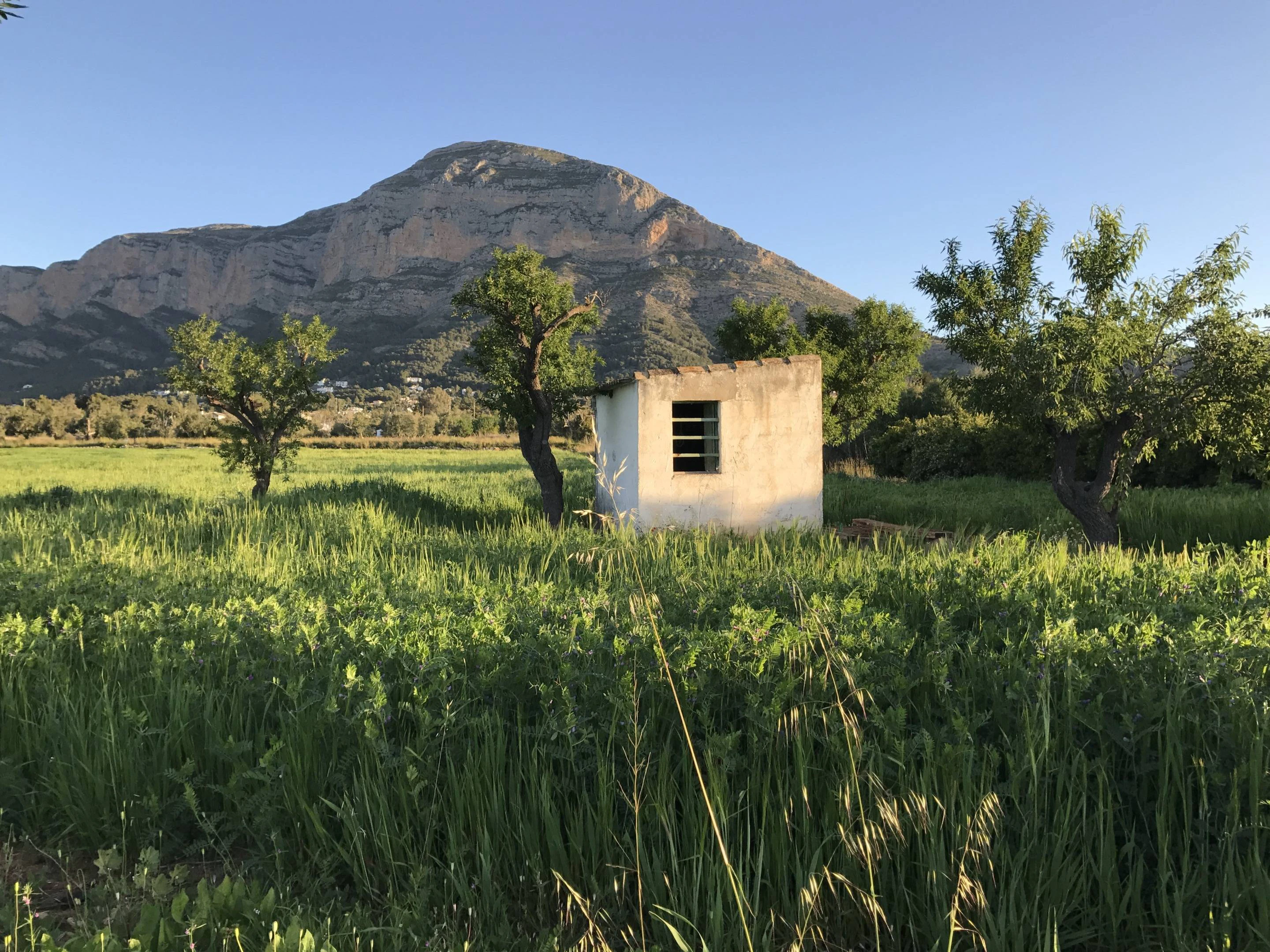 Villa con vistas al mar y piscina privada en venta en Cumbres del Sol