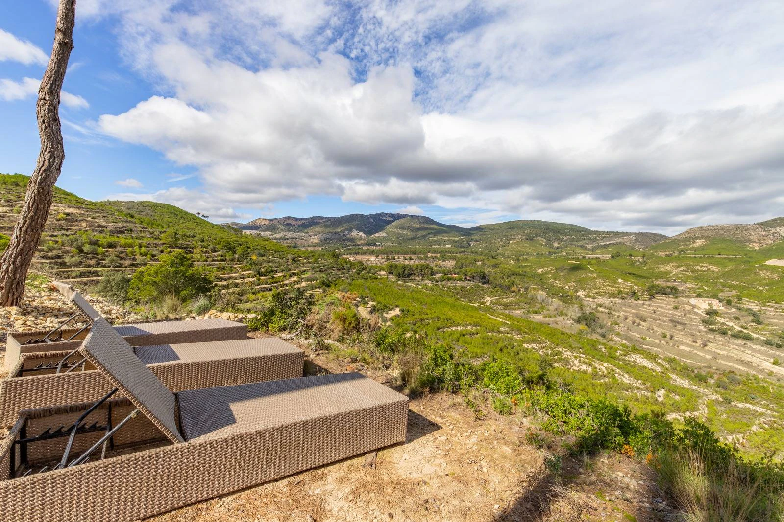 NC6701 - Finca La Paz. Prachtige finca op 18 hectare te koop in Torremanzanas.