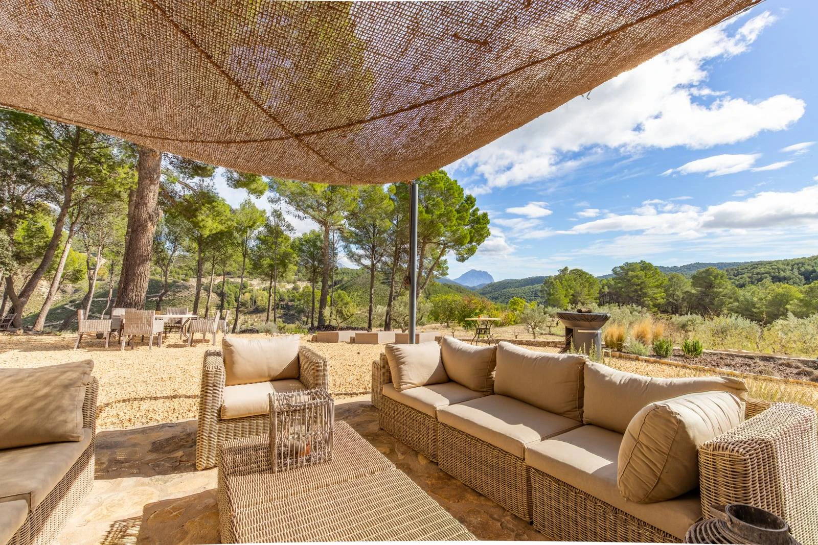 NC6701 - Finca La Paz. Prachtige finca op 18 hectare te koop in Torremanzanas.