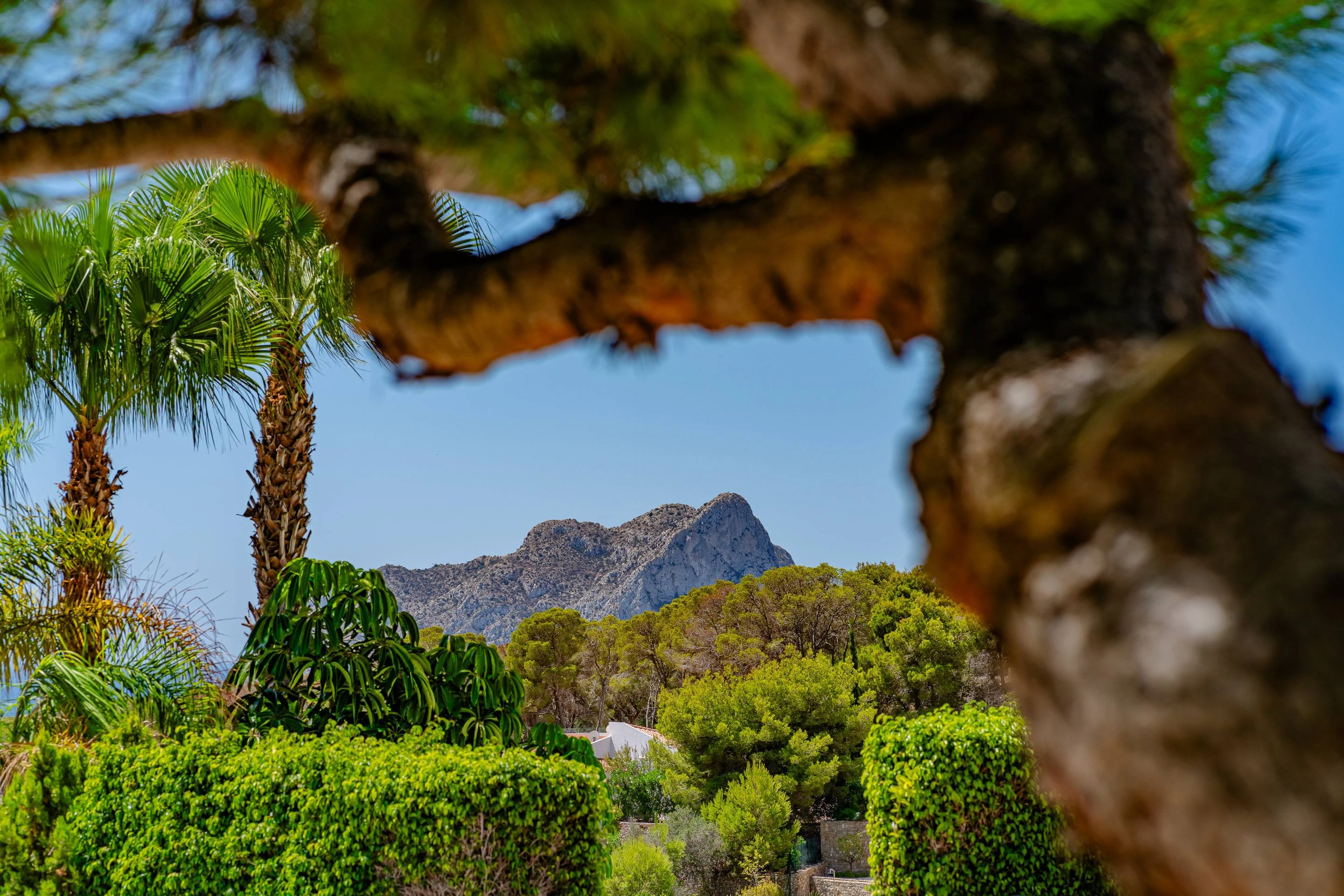 NC5262 - Luxe villa met zeezicht te koop in Benissa