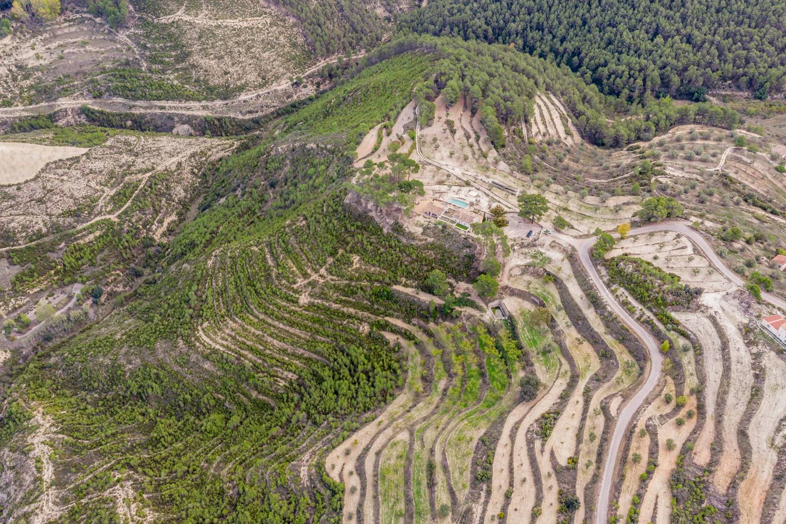 NC6701 - Finca La Paz. Prachtige finca op 18 hectare te koop in Torremanzanas.