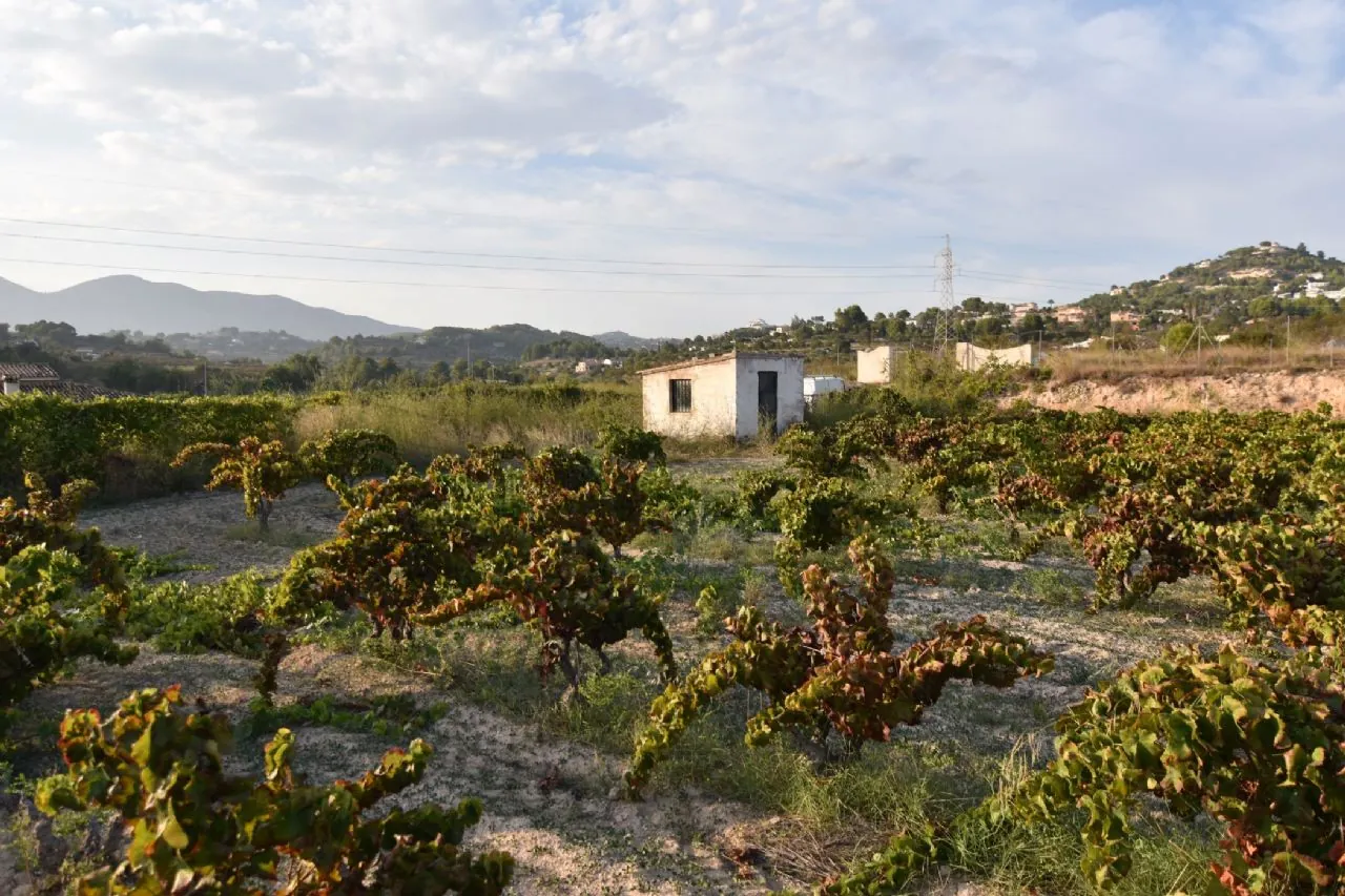 Plot en venta en Calpe / Calp