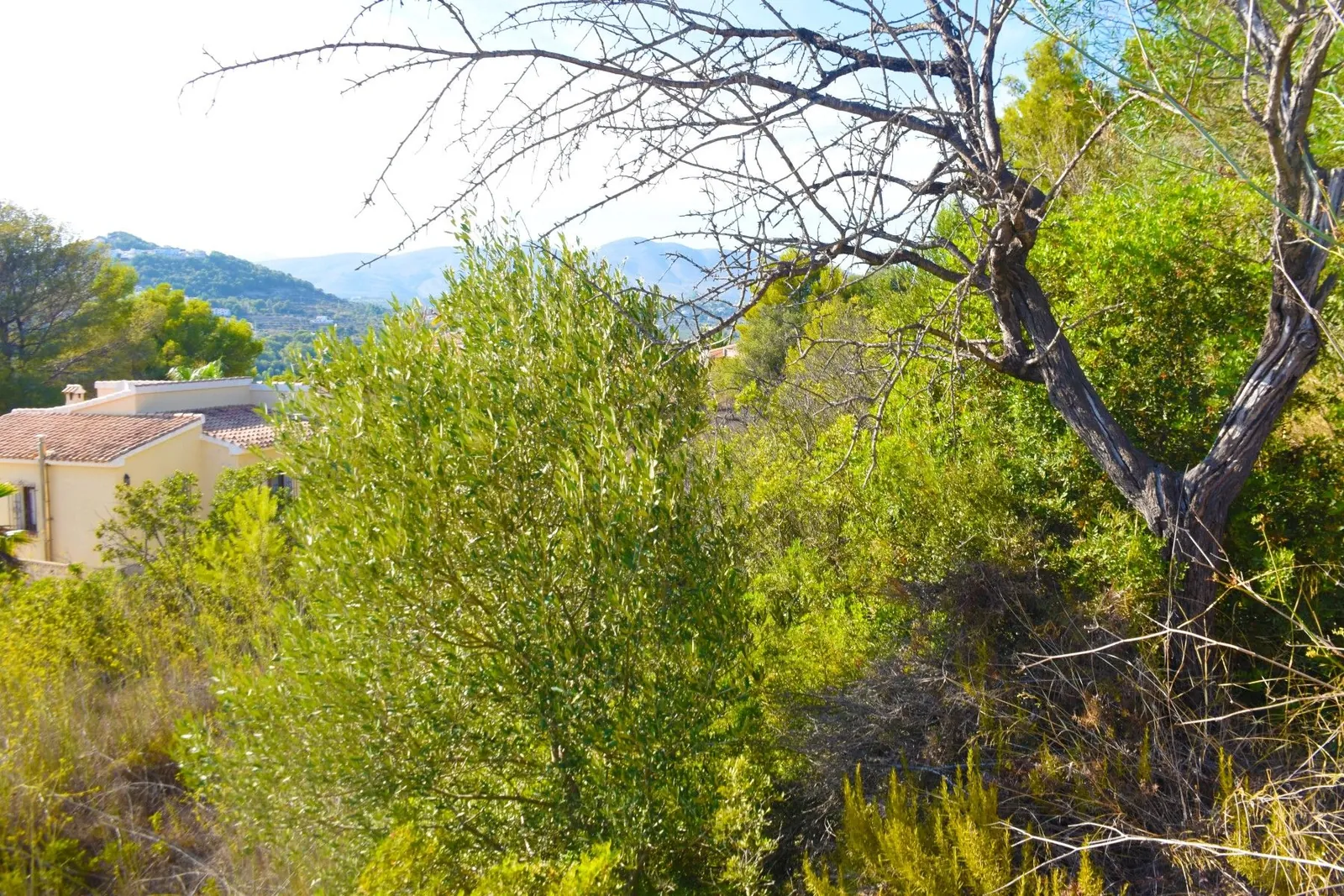 Plot en venta en Calpe / Calp
