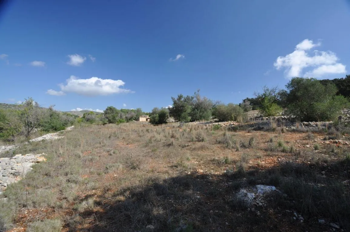 PARCELA RURAL CERCA DEL PUEBLO DE BENISSA