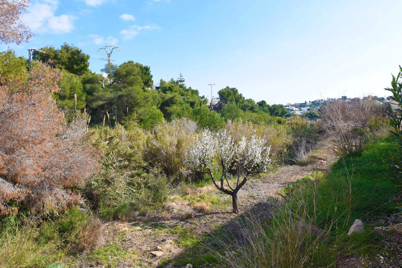 Plot en venta en Benissa