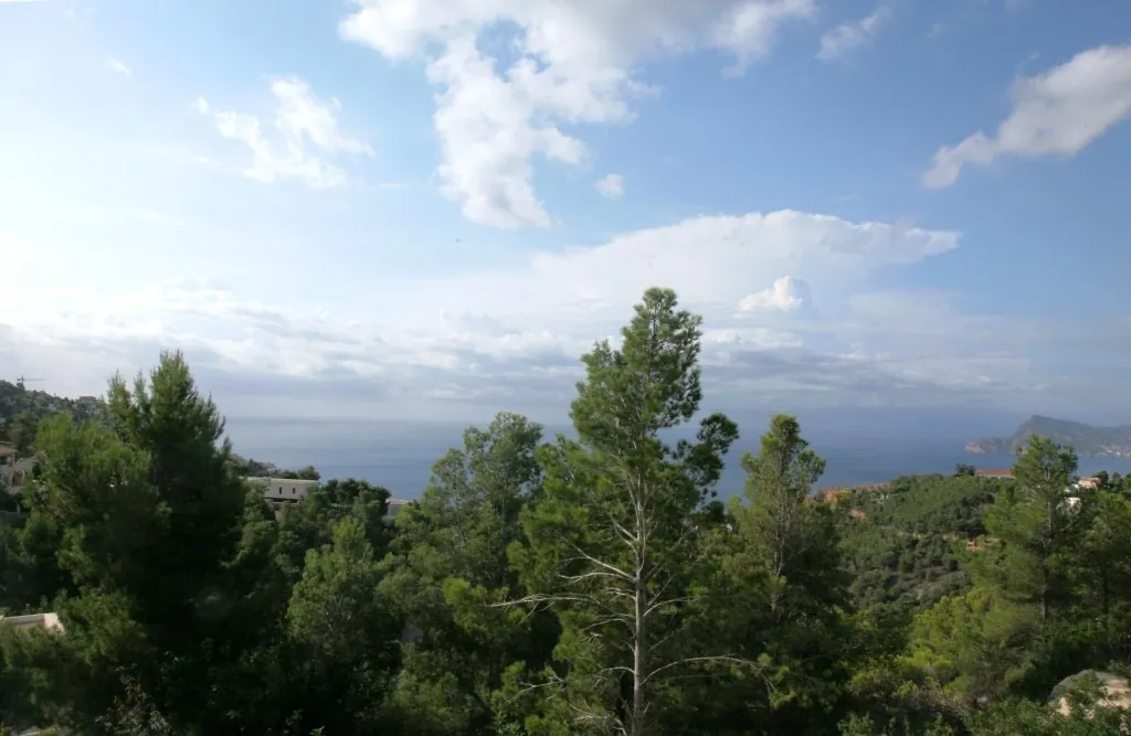 PARCELA EN ALTEA HILLS CON VISTAS AL MAR