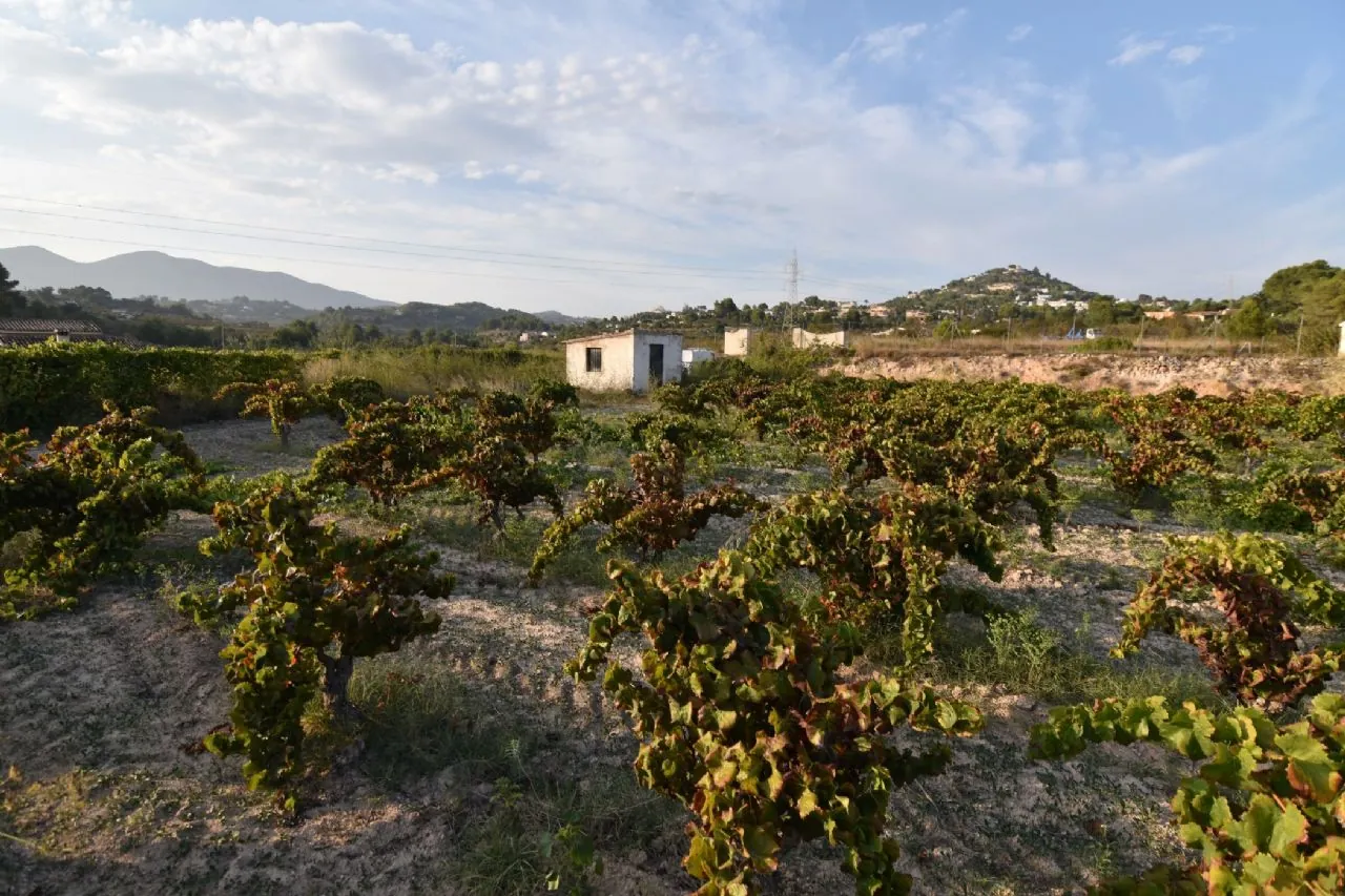Plot en venta en Calpe / Calp