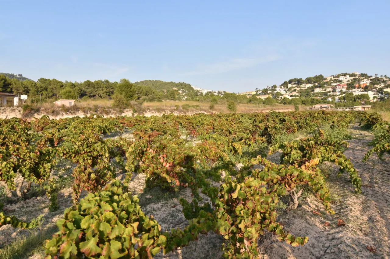 Plot en venta en Calpe / Calp
