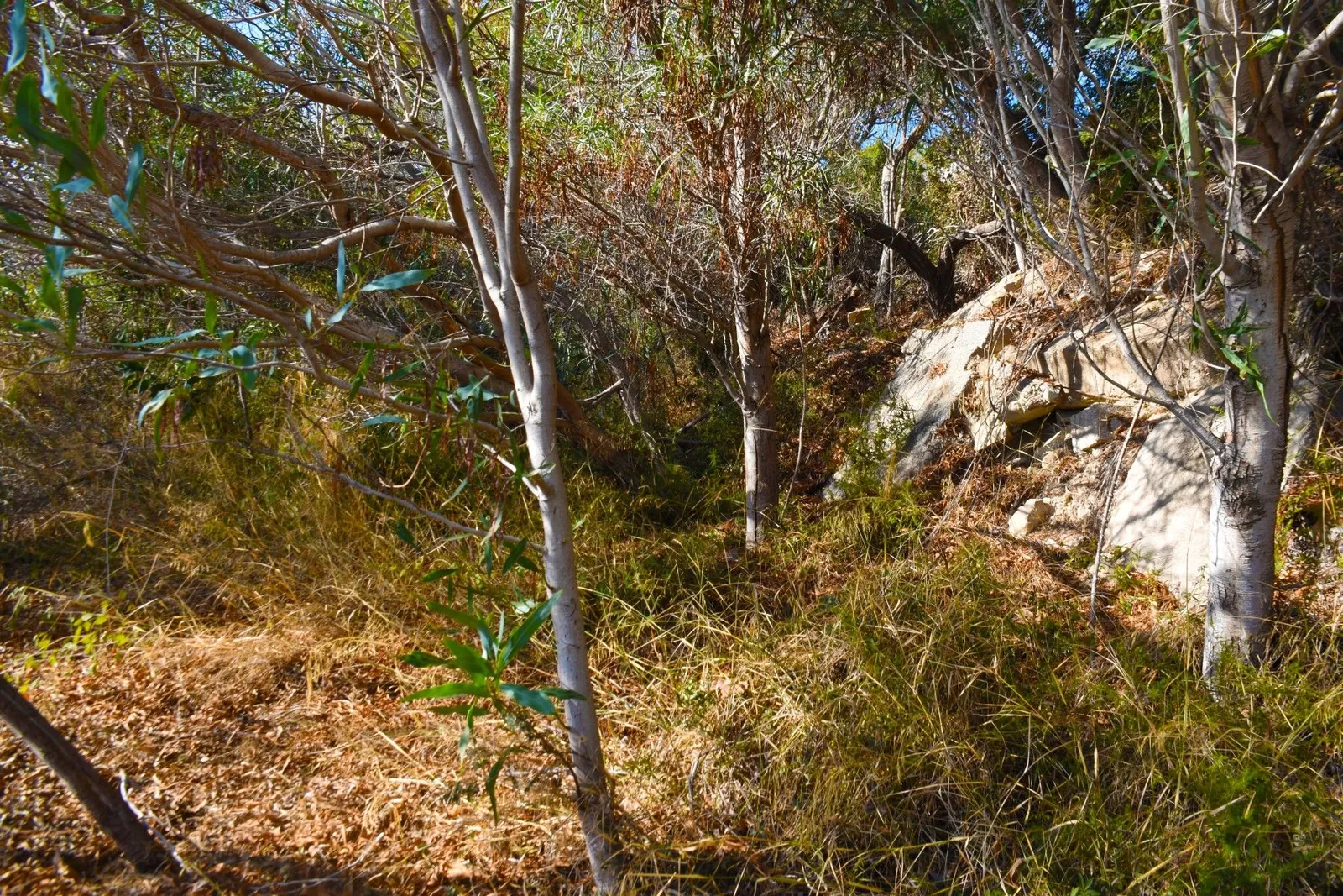 Plot en venta en Calpe / Calp