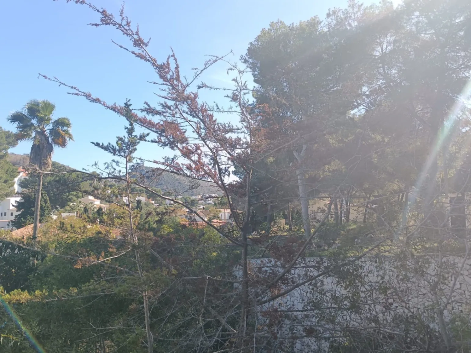 Projet de villa moderne à seulement 1 km de la célèbre plage d'El Portet à Moraira
