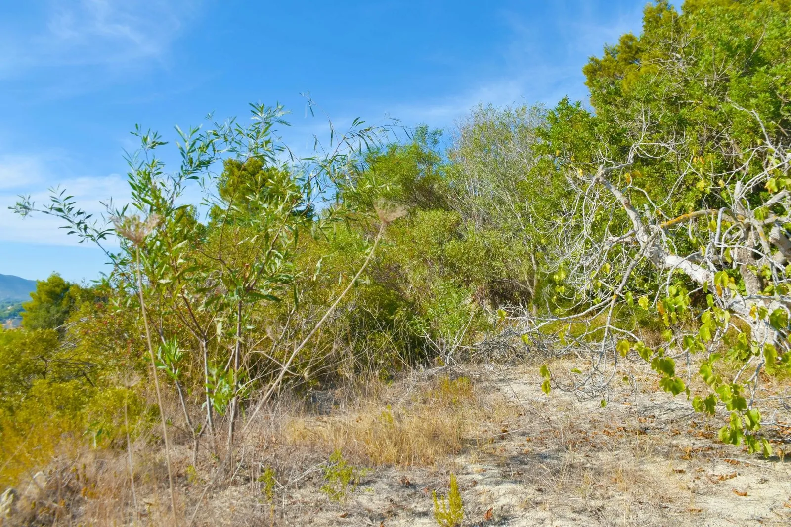 Plot en venta en Calpe / Calp
