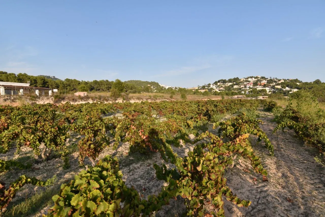 Plot en venta en Calpe / Calp