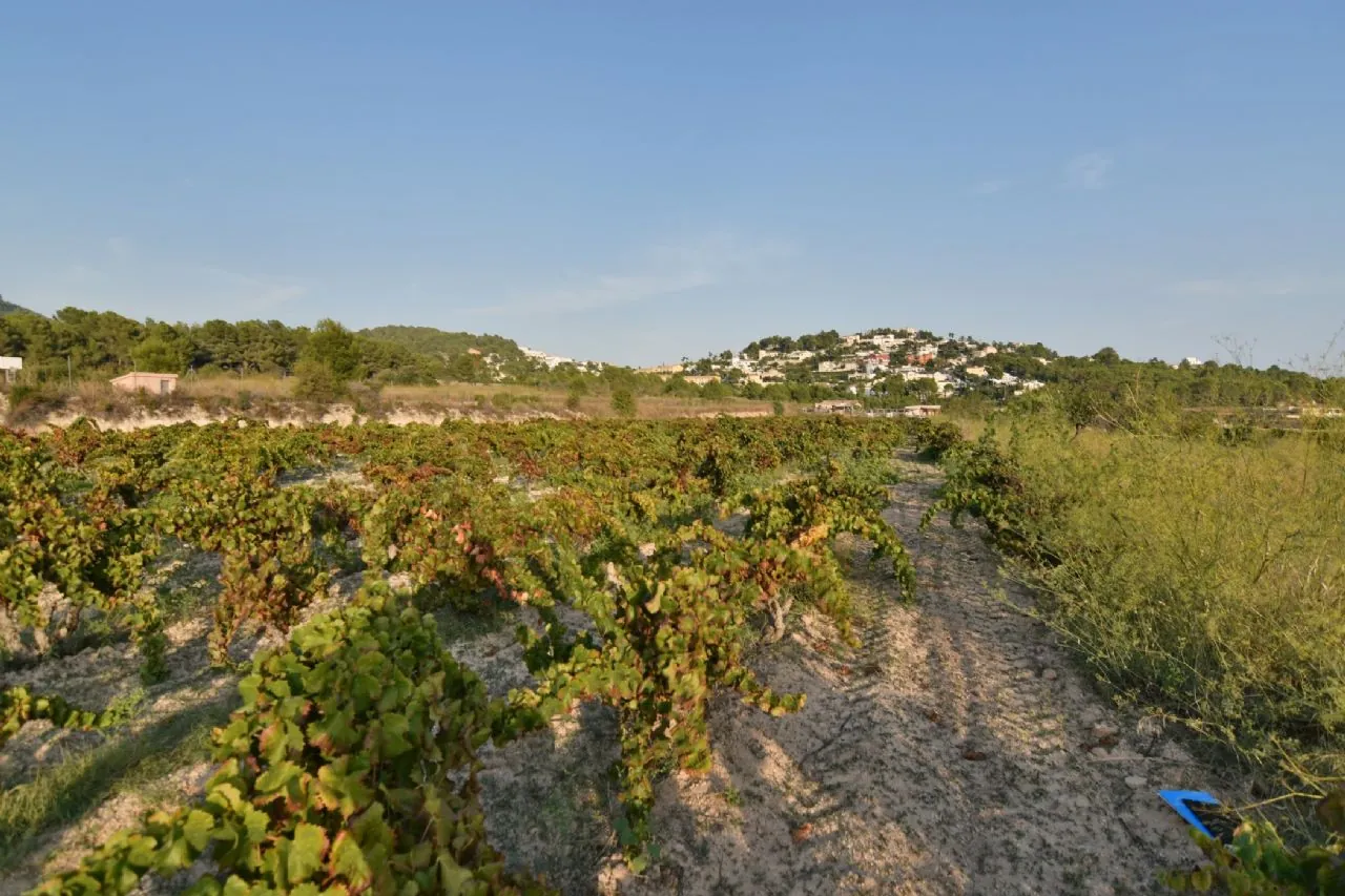 Plot en venta en Calpe / Calp