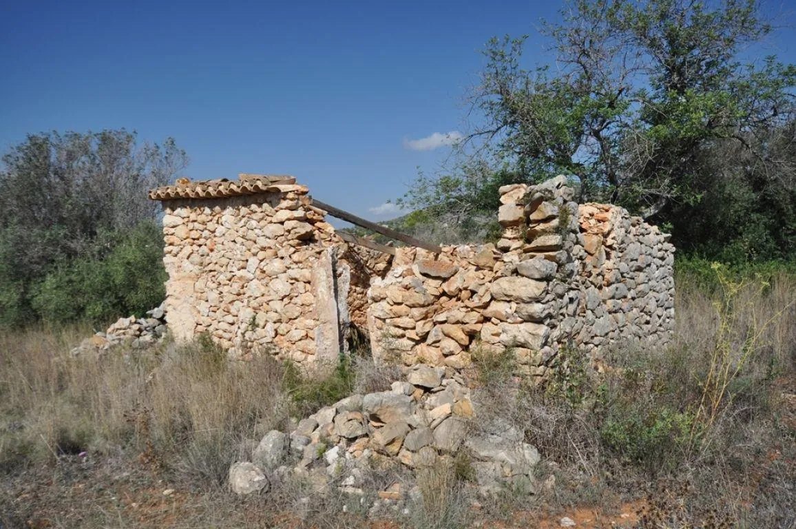 PARCELA RURAL CERCA DEL PUEBLO DE BENISSA