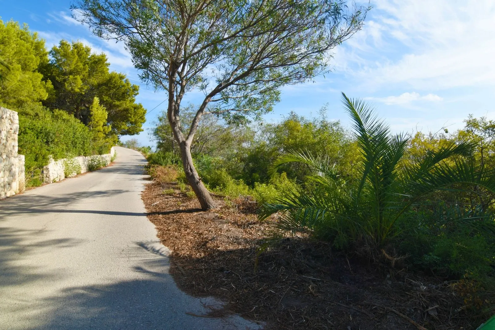 Plot en venta en Calpe / Calp