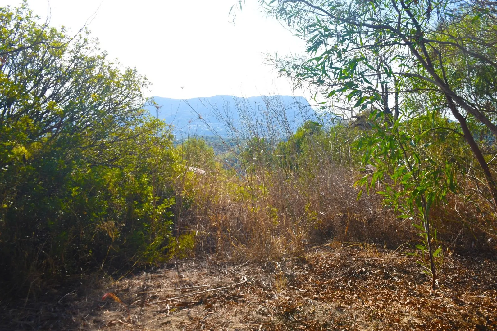 Plot en venta en Calpe / Calp