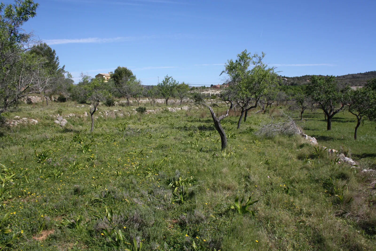 VILLA EN BENISSA ESTILO FINCA