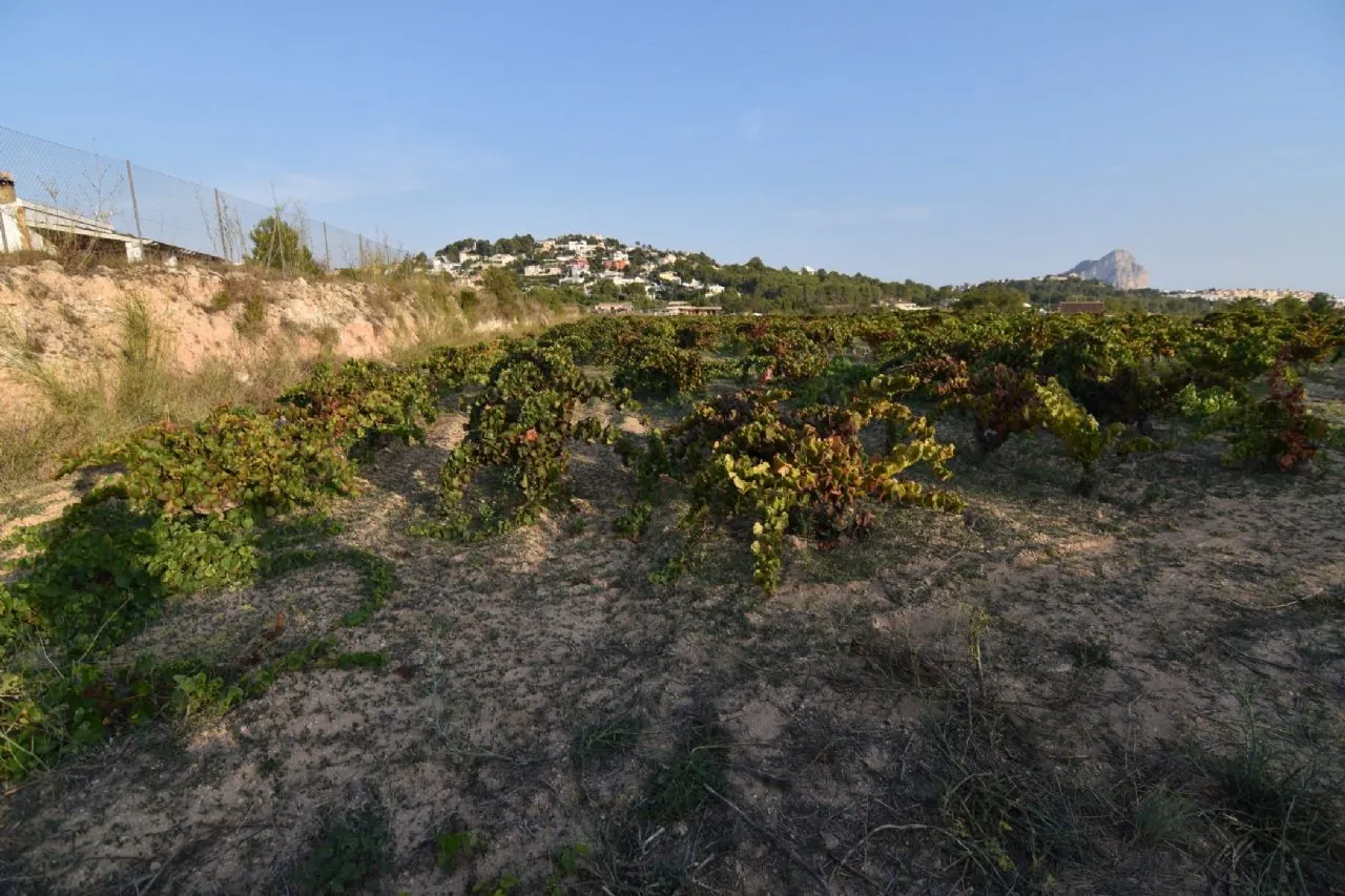 Plot en venta en Calpe / Calp