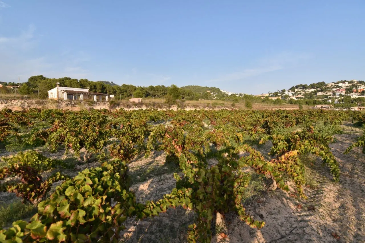 Plot en venta en Calpe / Calp