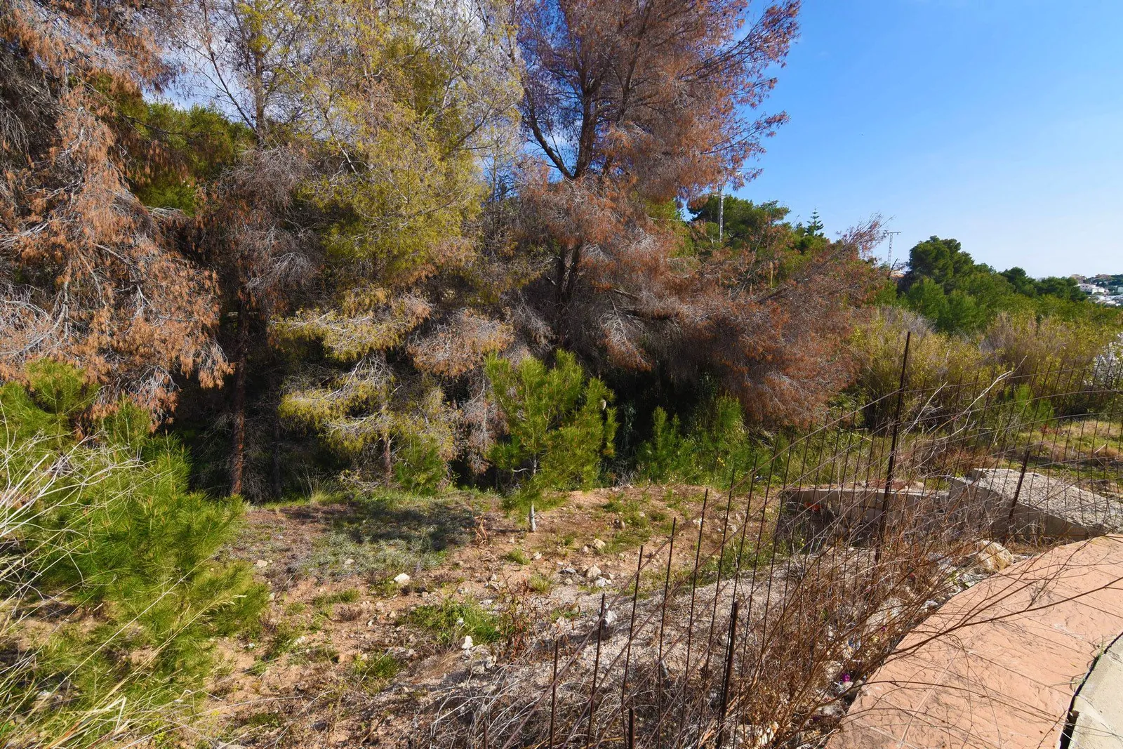 Plot en venta en Benissa