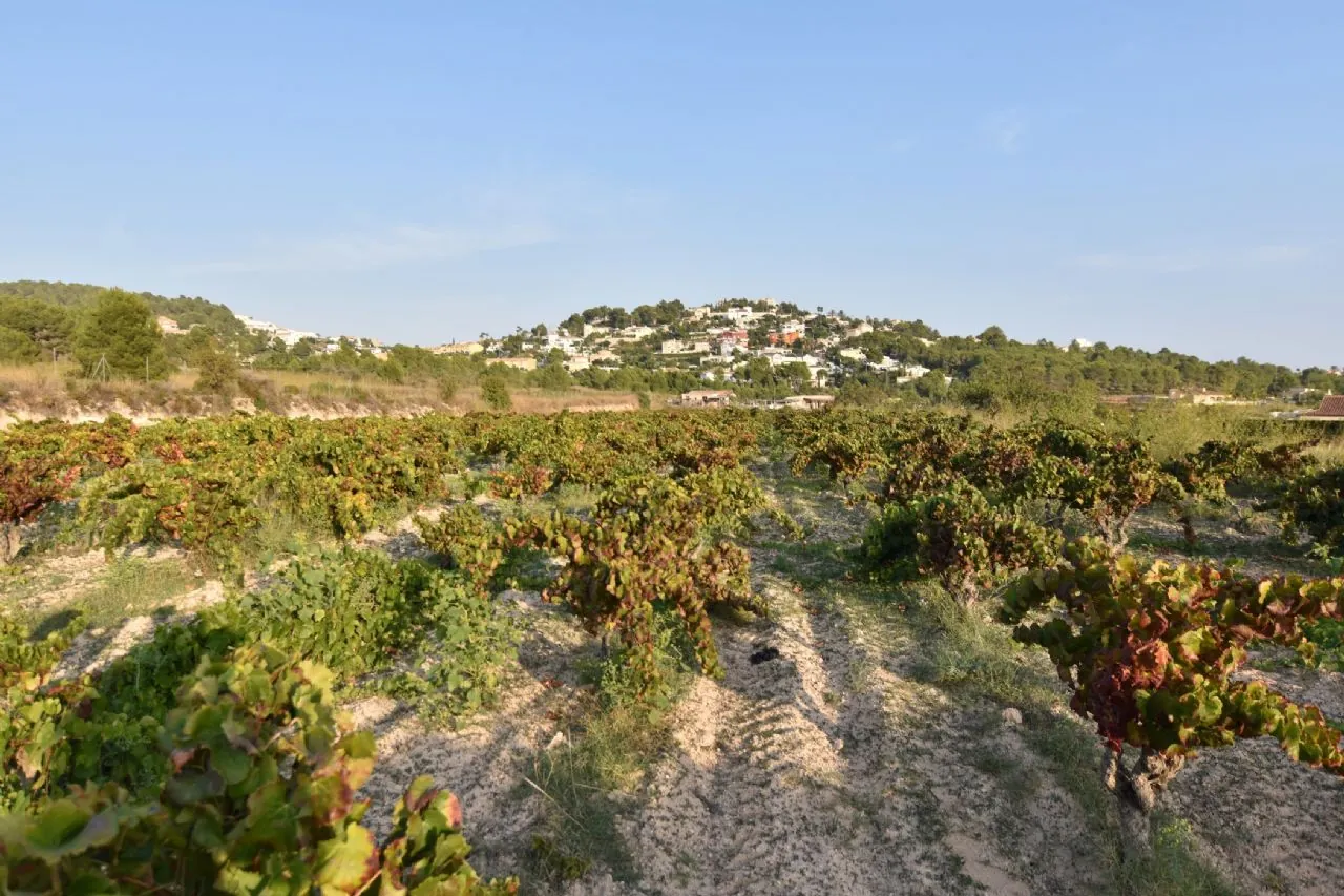 Plot en venta en Calpe / Calp