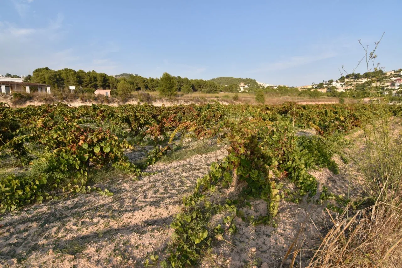 Plot en venta en Calpe / Calp