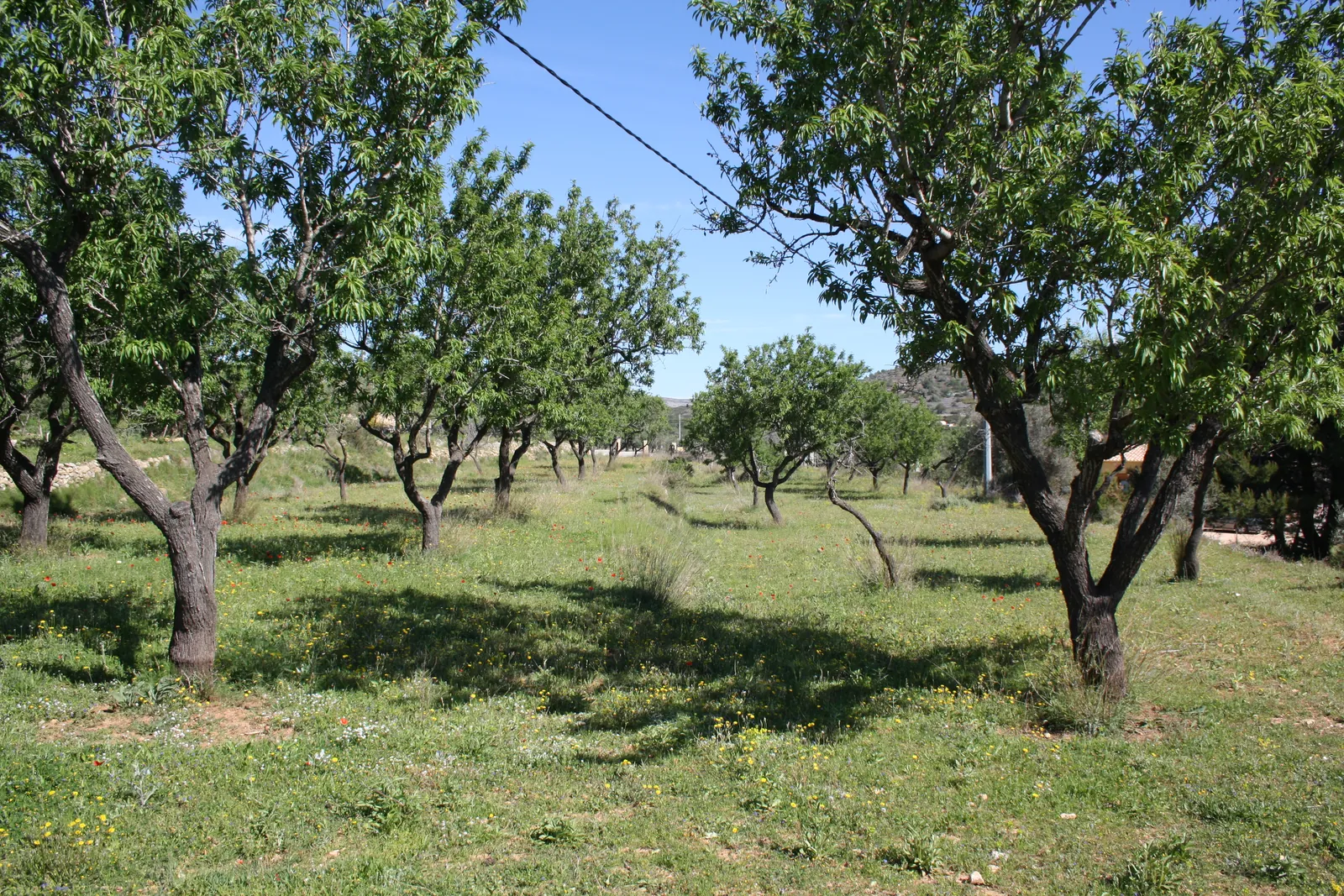 VILLA EN BENISSA ESTILO FINCA