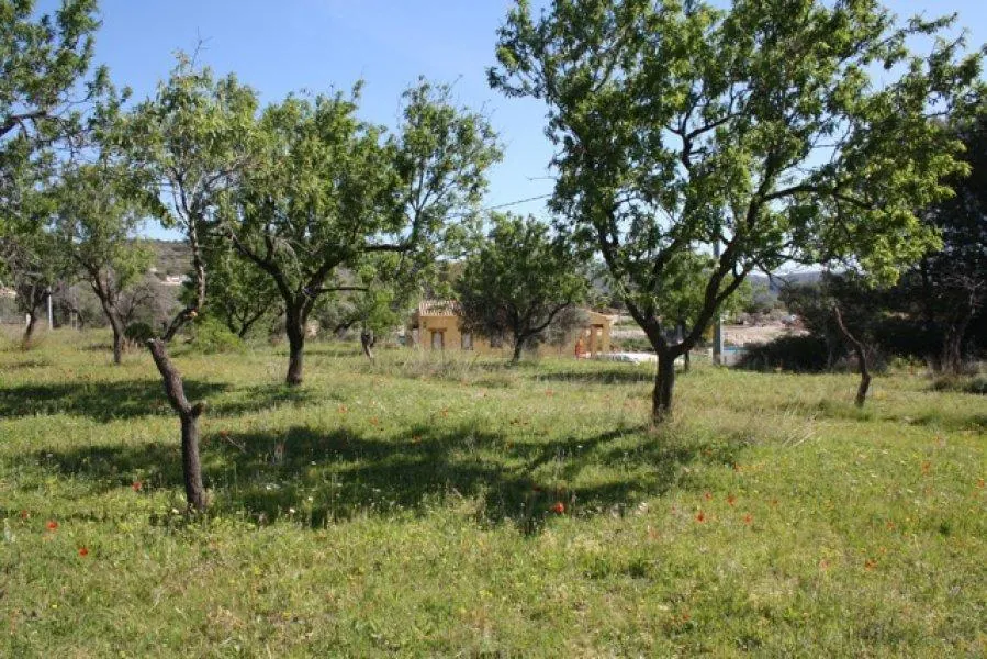 VILLA EN BENISSA ESTILO FINCA