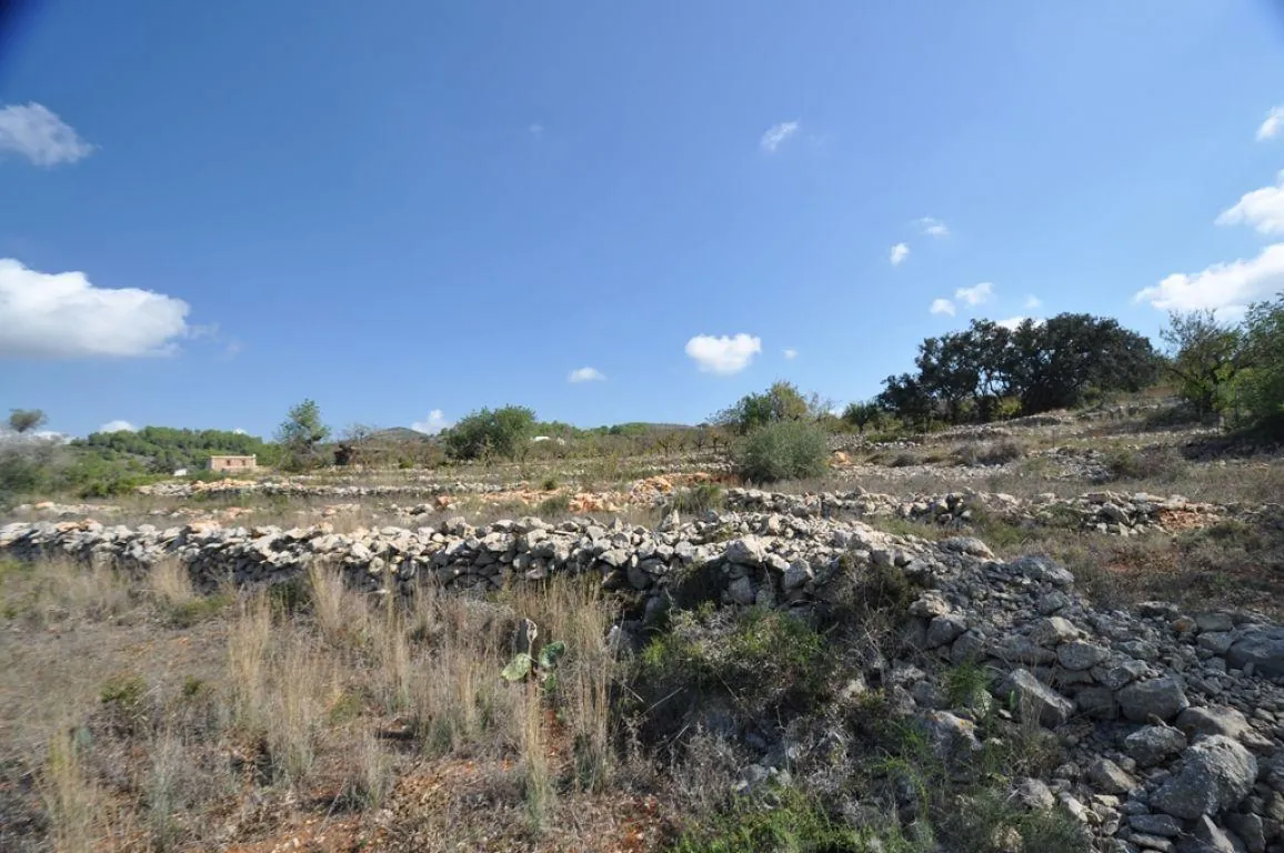 PARCELA RURAL CERCA DEL PUEBLO DE BENISSA
