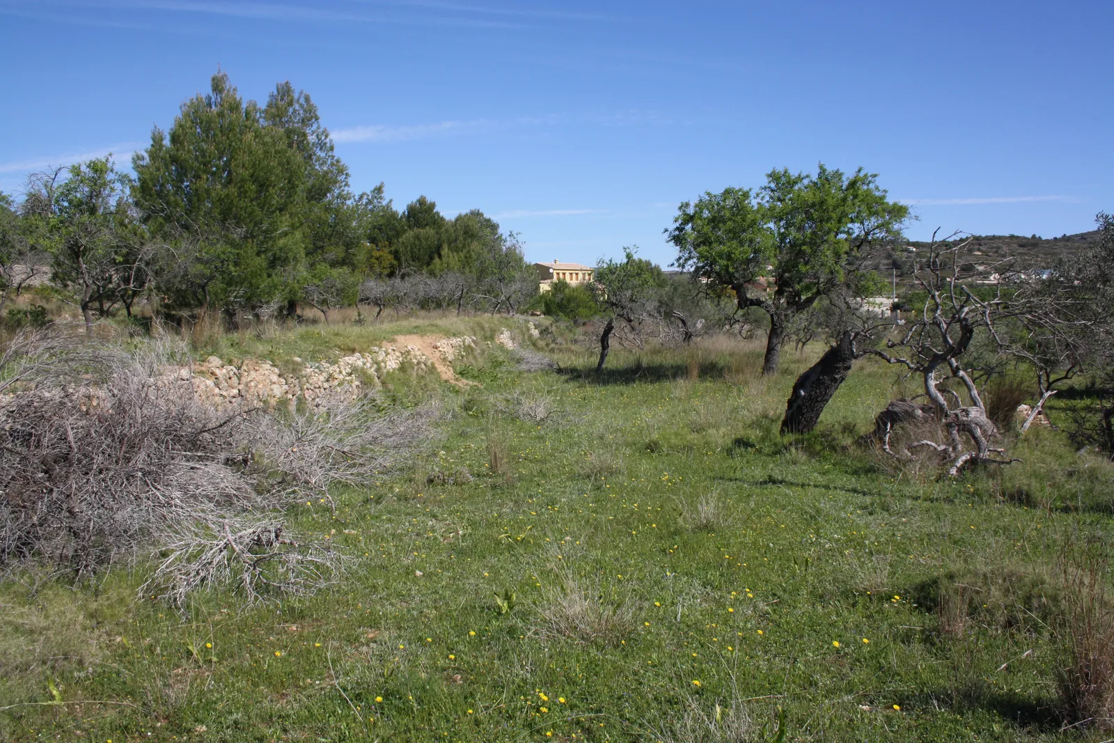 VILLA EN BENISSA ESTILO FINCA