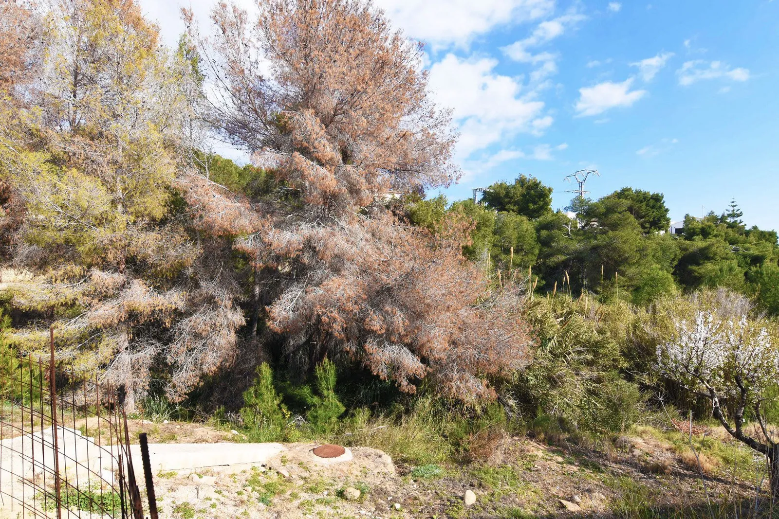 Plot en venta en Benissa