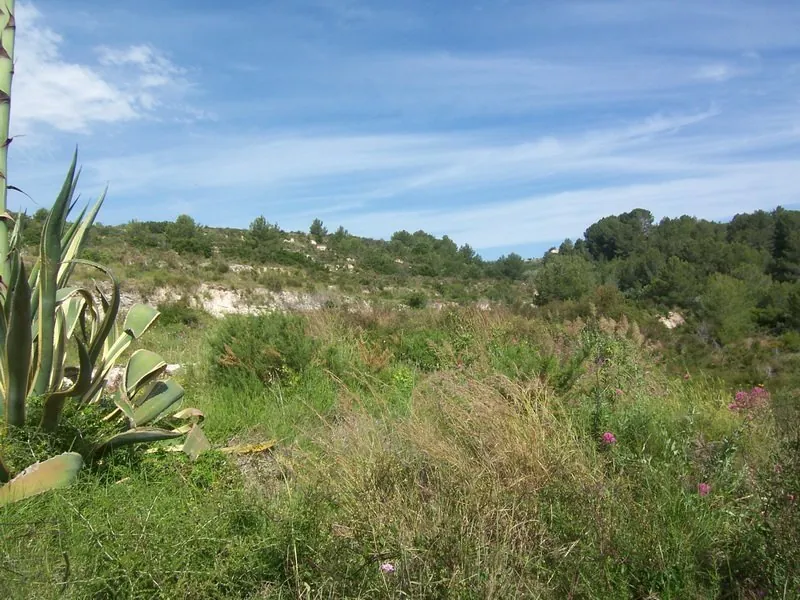Terreno r&uacute;stico en venta en Teulada