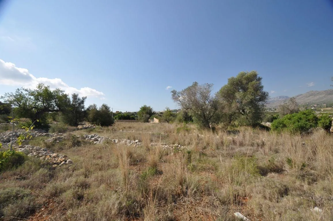PARCELA RURAL CERCA DEL PUEBLO DE BENISSA