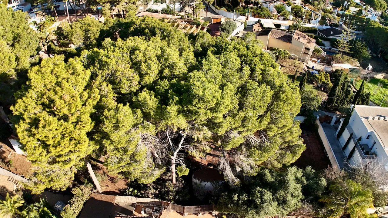 Bouwgrond te verkoop in Moraira