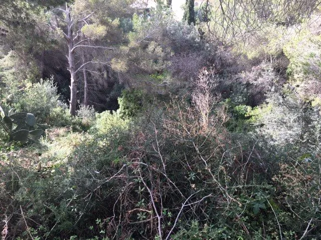 Plot en venta en Benissa
