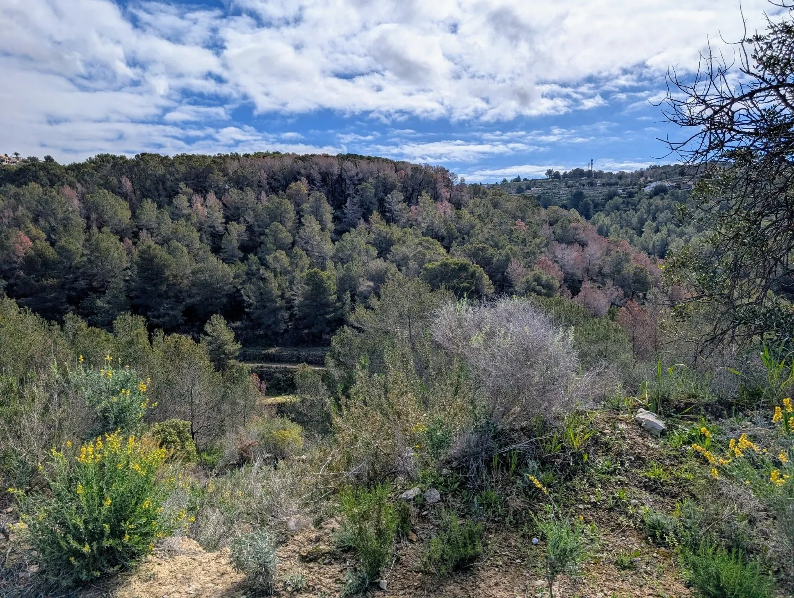 Grundstück zum verkauf in Benissa