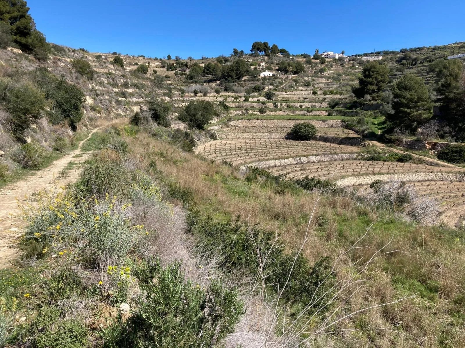 Grundstück zum verkauf in Benissa