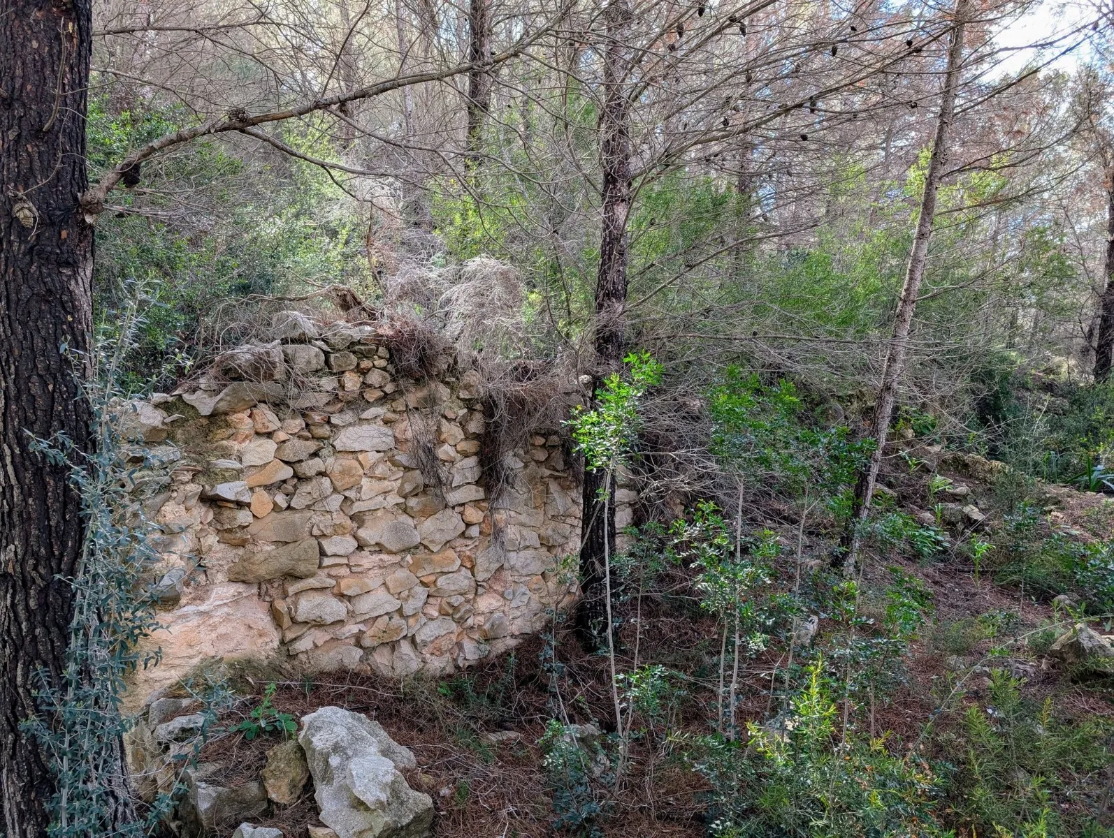 Grundstück zum verkauf in Benissa