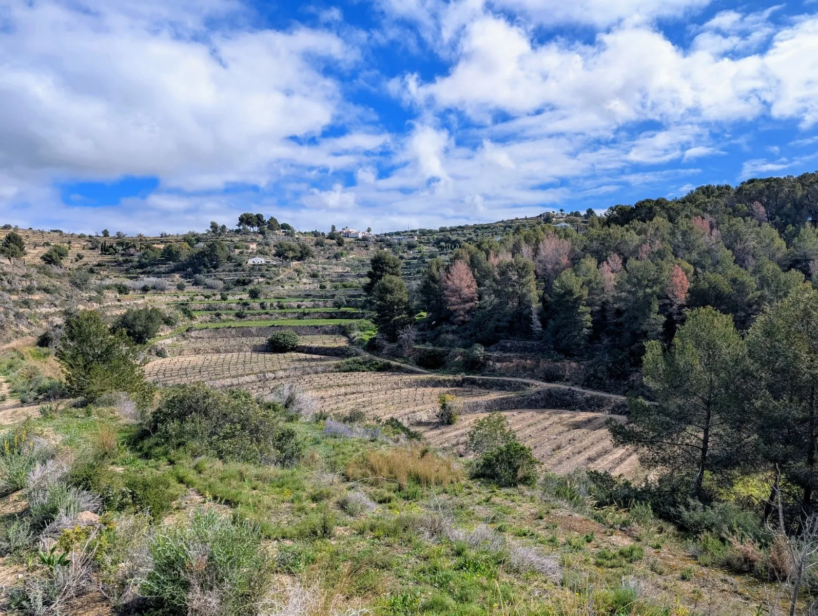 Grundstück zum verkauf in Benissa