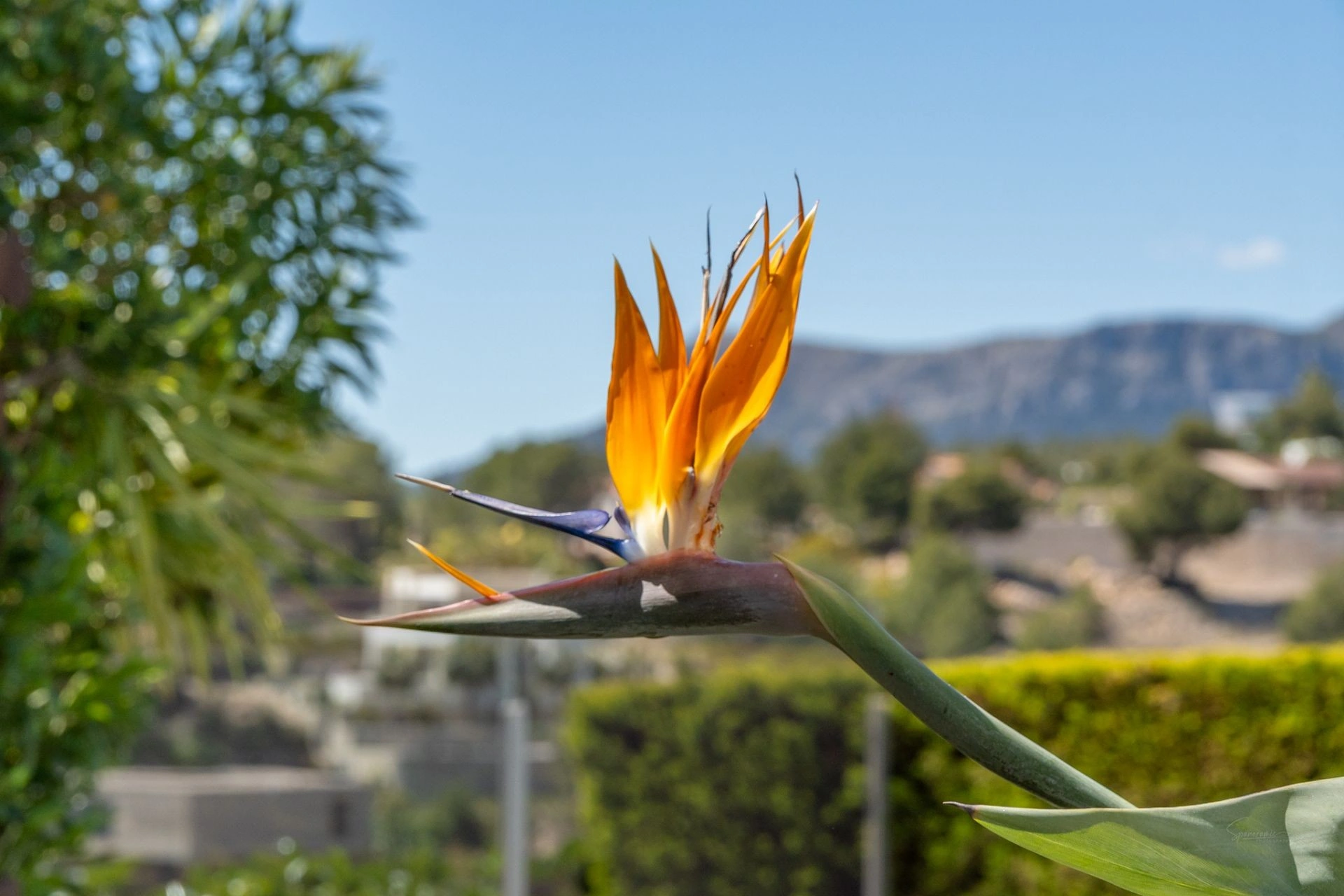 Villa for sale in Benissa