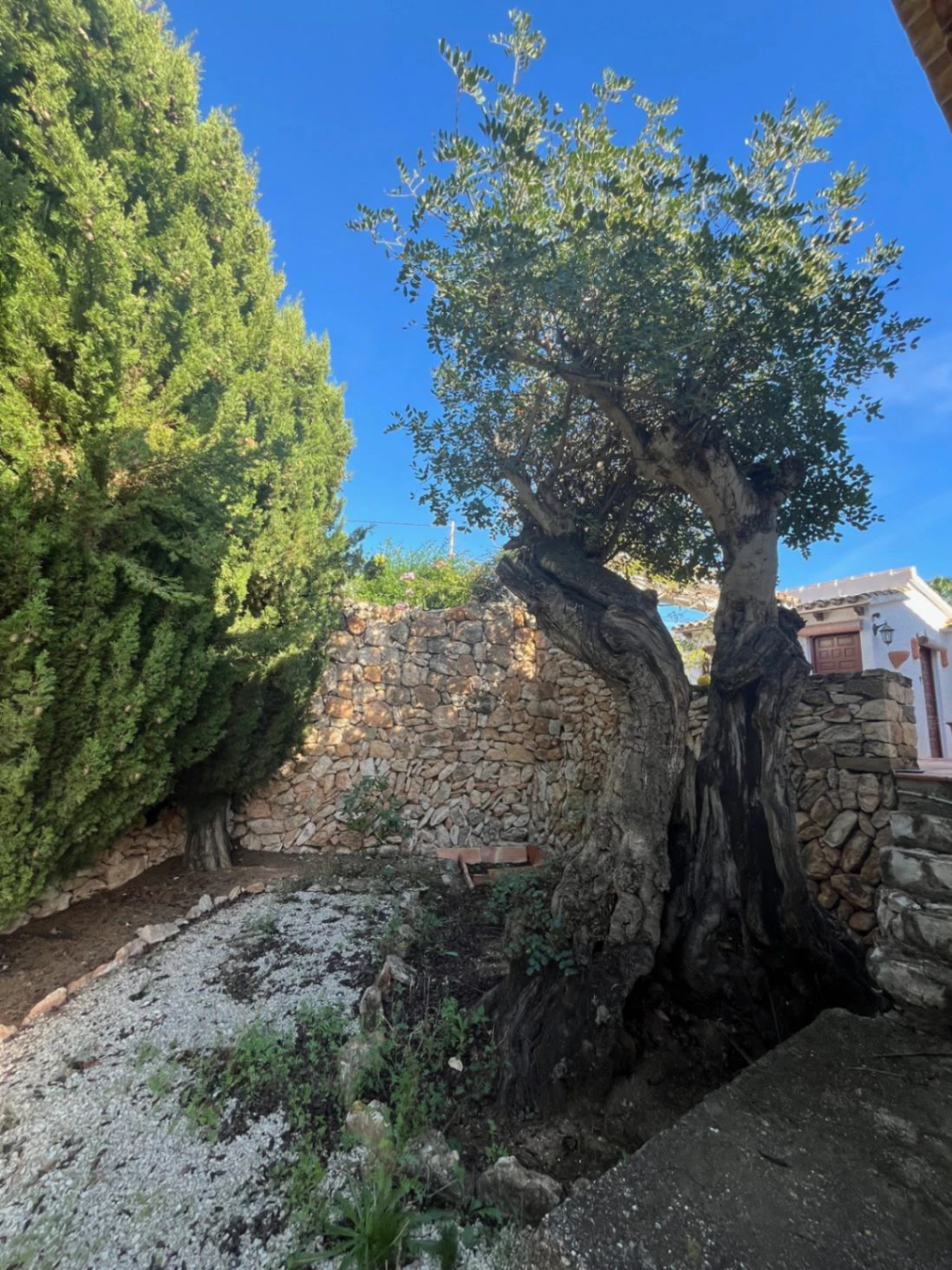 RENOVATIE project: villa te koop in Benissa nabij kust