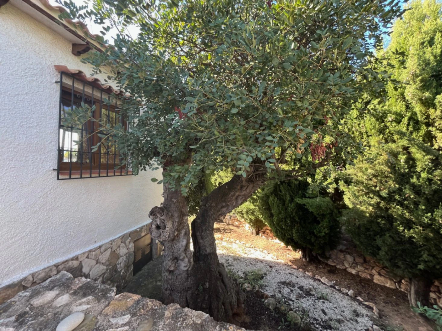 RENOVATIE project: villa te koop in Benissa nabij kust