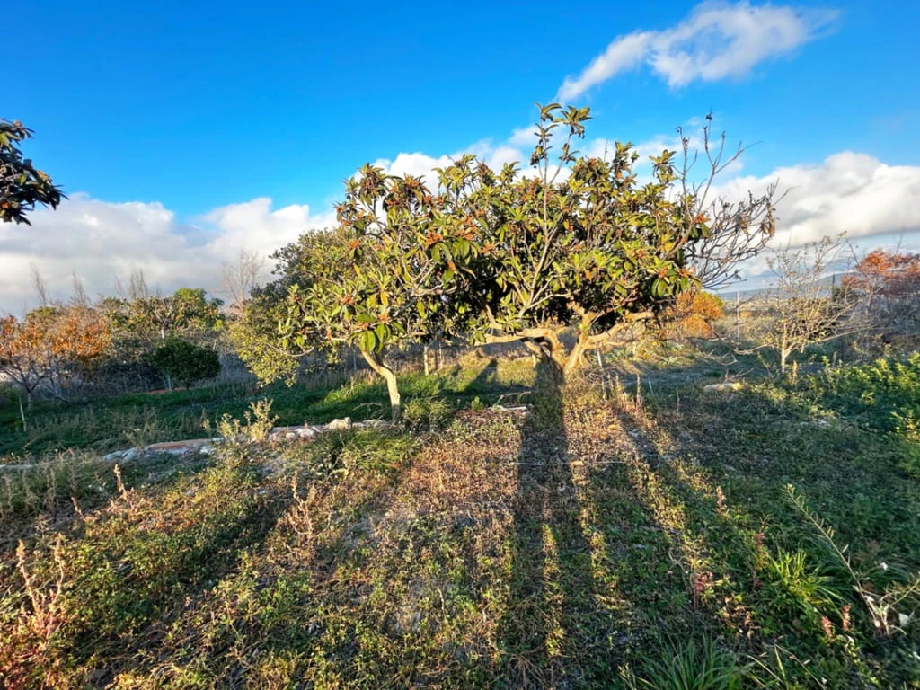 Chalet/Villa en venta en Benissa
