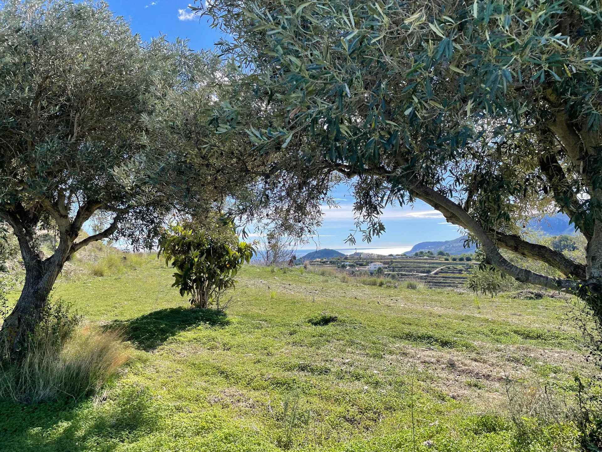 For Sale. Country house in Benissa
