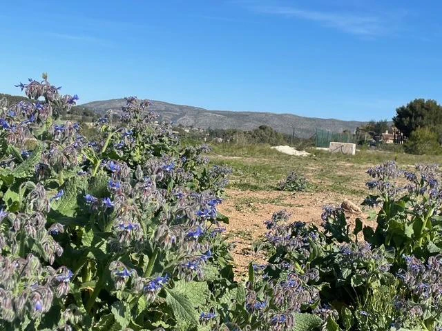 Venta. Parcela en Teulada