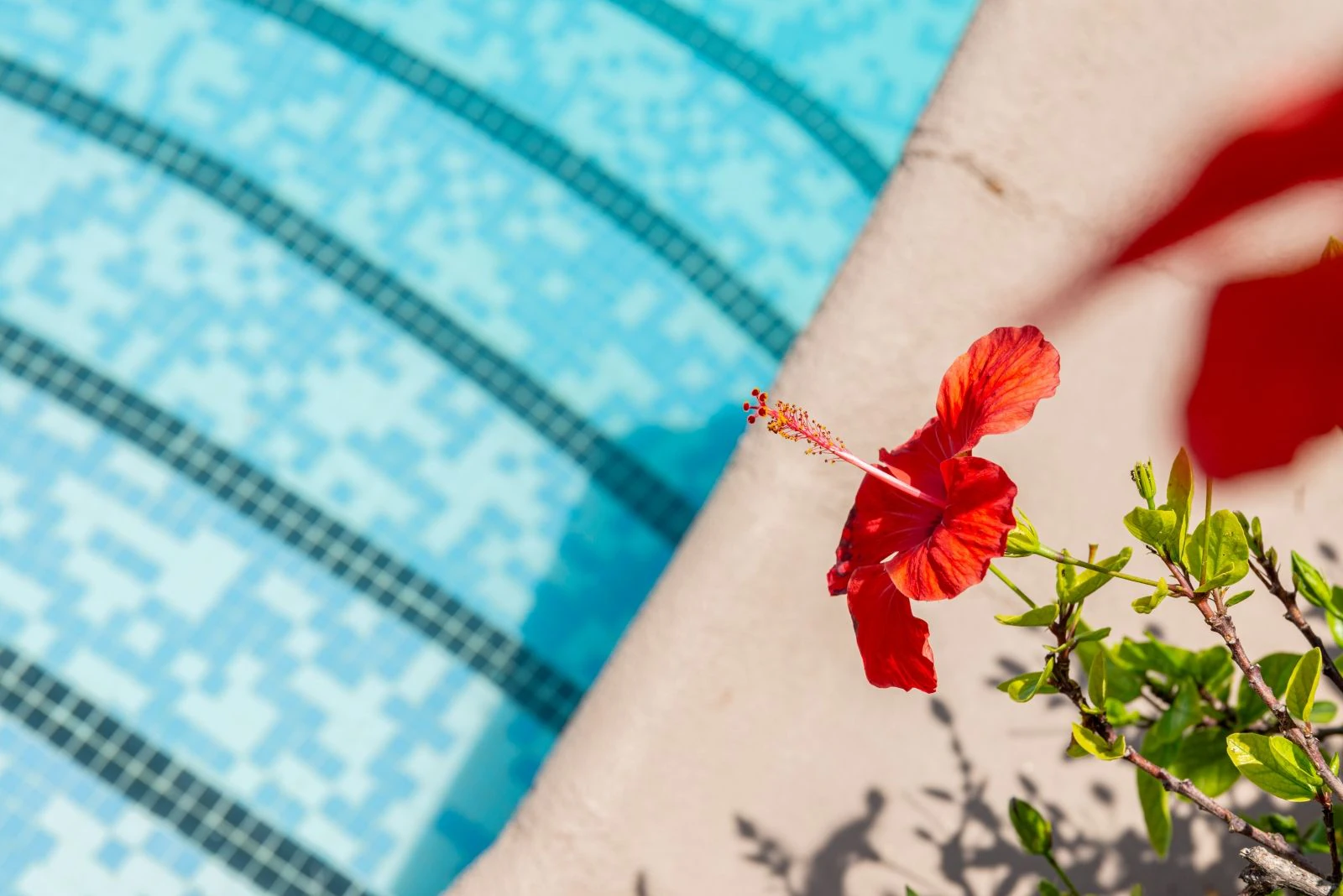 Geräumige Villa mit 7 Schlafzimmern, nur einen Schritt vom Zentrum von Moraira entfernt.
