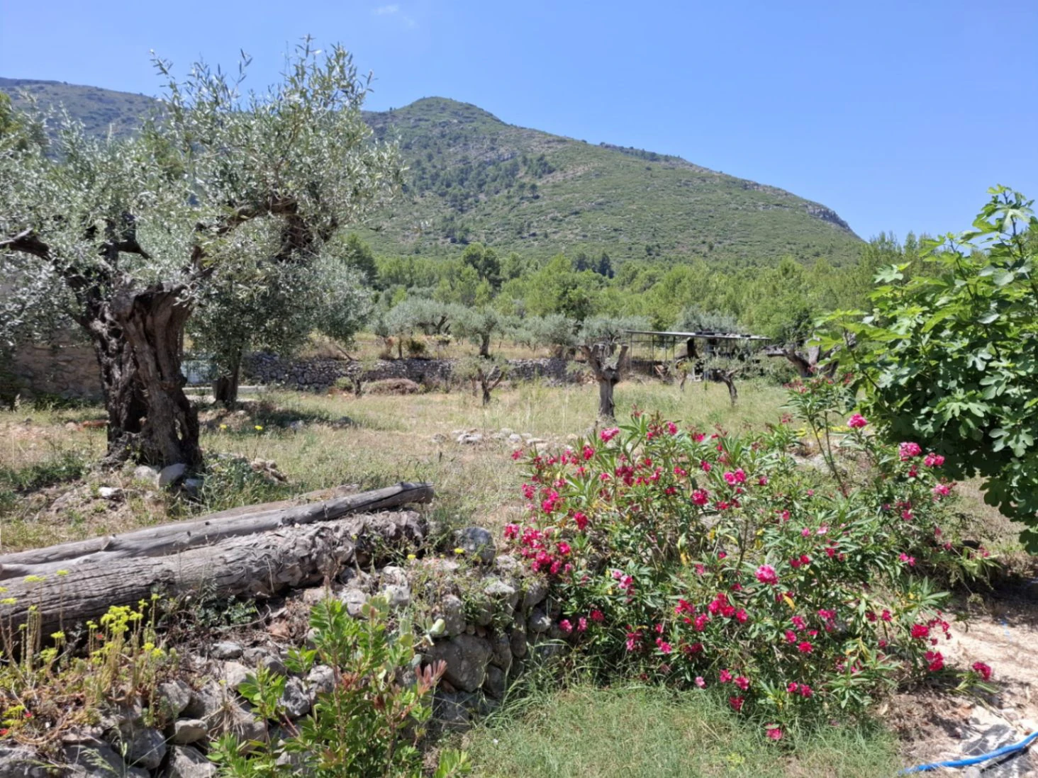 Finca con mucho encanto en Parcent a la Venta