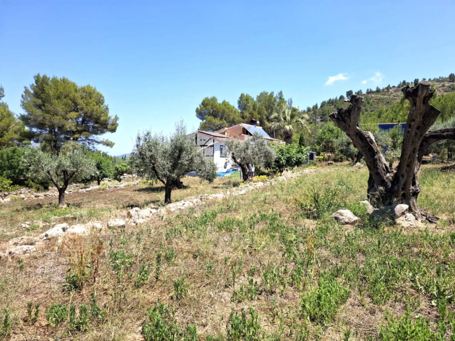 Finca con mucho encanto en Parcent a la Venta